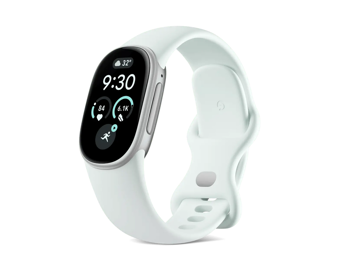 Google Fitbit Edge Satin Silver Fog