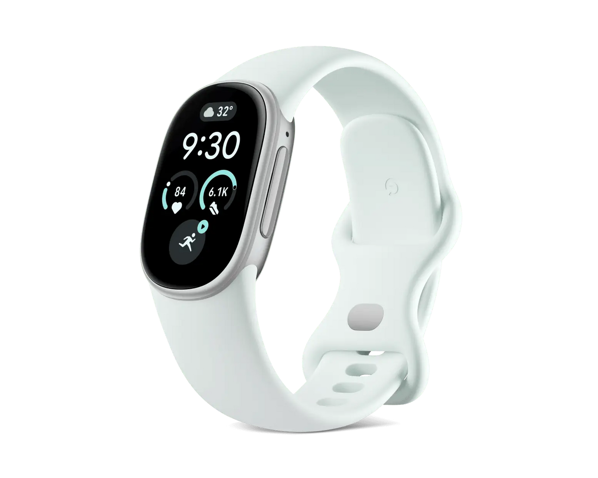 Google Fitbit Edge Satin Silver Fog