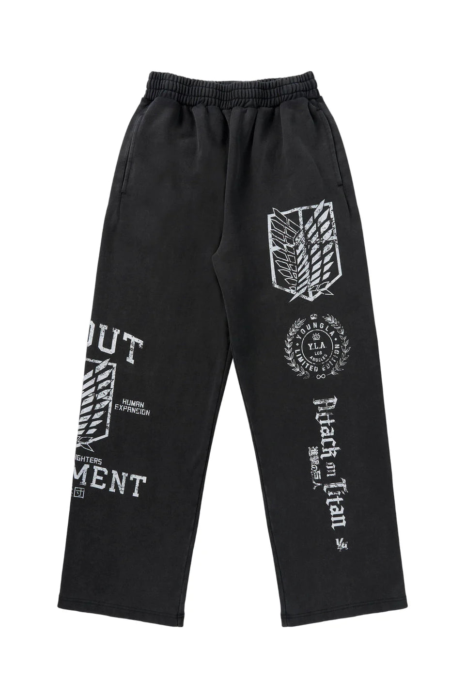 2128 - AOT© x YLA Baggy Joggers Regiment Freedom