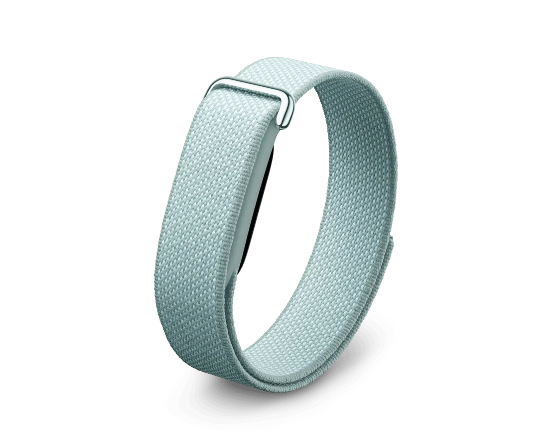 Google Fitbit Air Fog