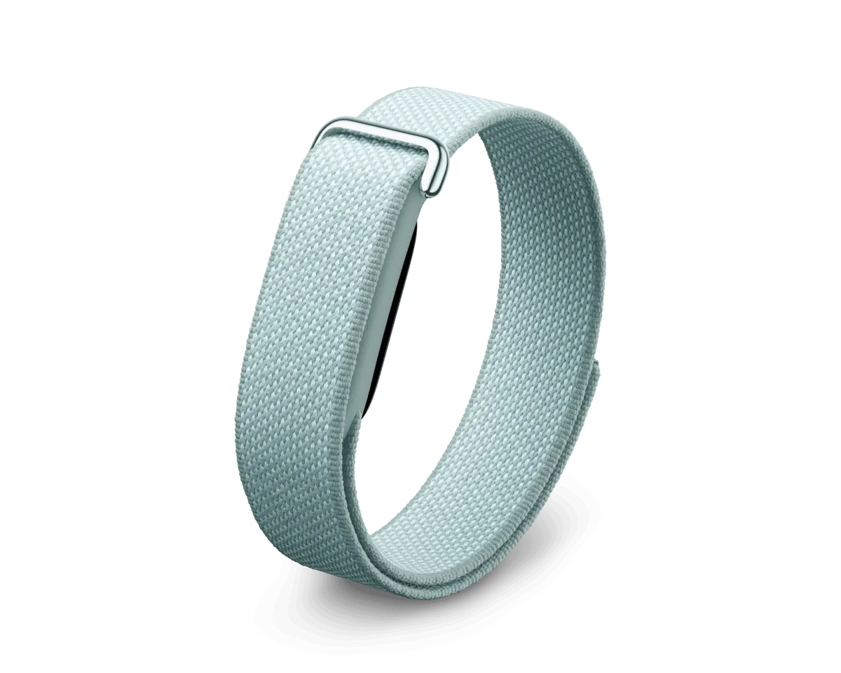 Google Fitbit Air Fog