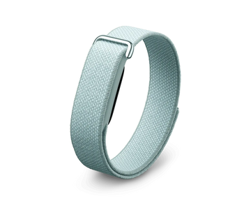 Google Fitbit Air Fog