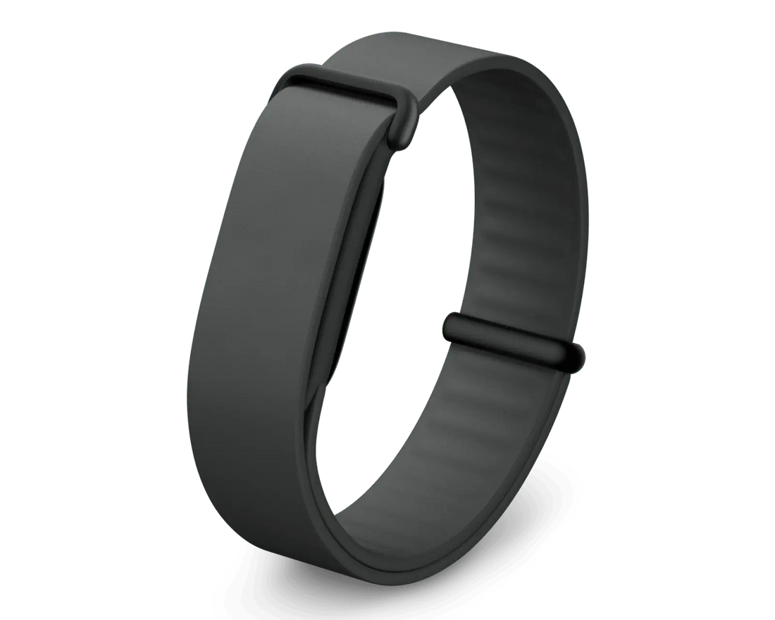 Google Fitbit Air Elevated Modern Band Obsidian