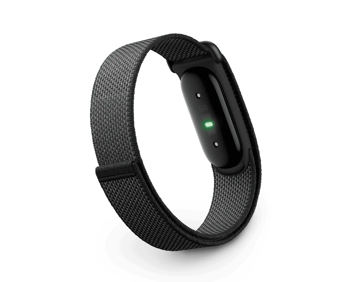 Google Fitbit Air Obsidian