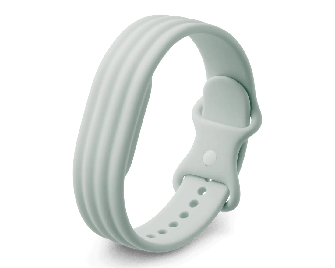 Google Fitbit Air Active Band Fog