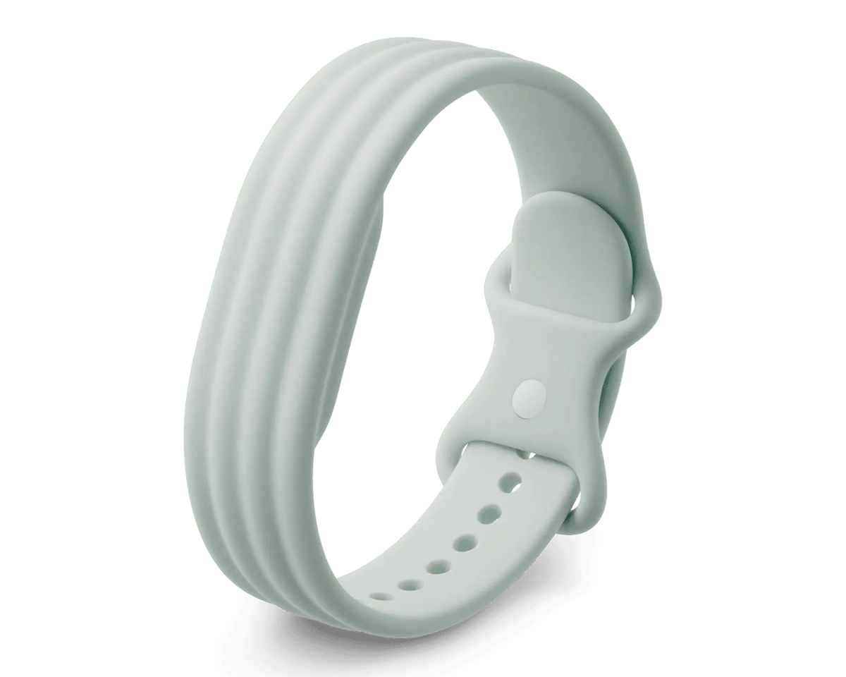 Google Fitbit Air Active Band Fog