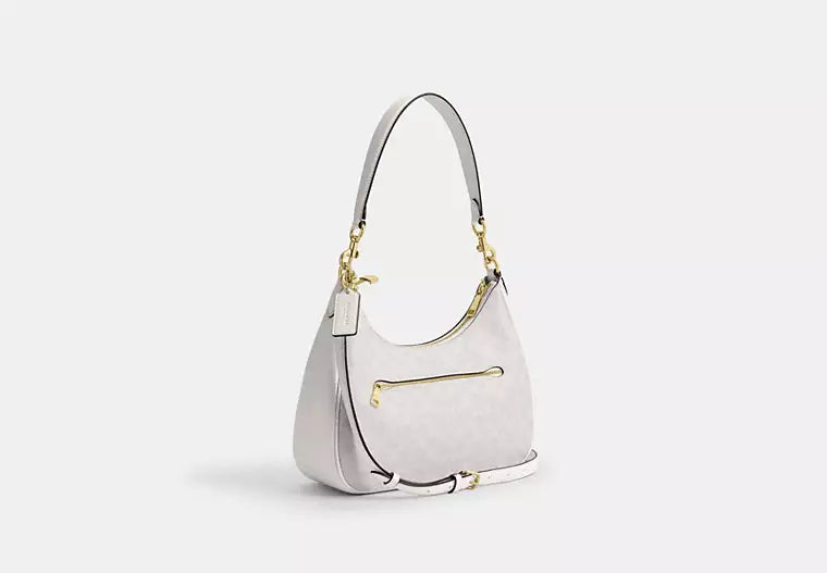 Coach Teri Hobo Bag In Signature Canvas