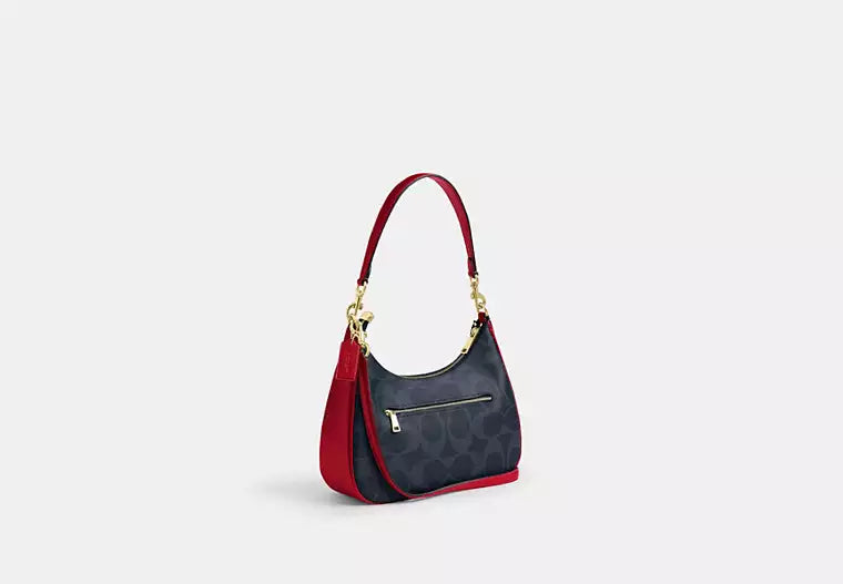 Coach Teri Hobo Bag In Signature Canvas