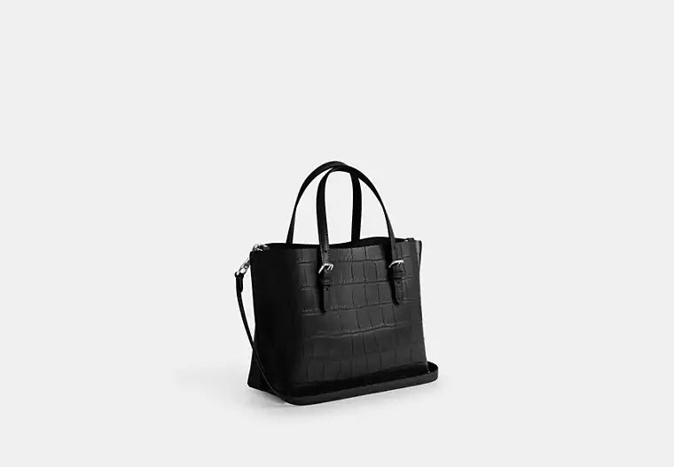 Coach Mollie Tote Bag