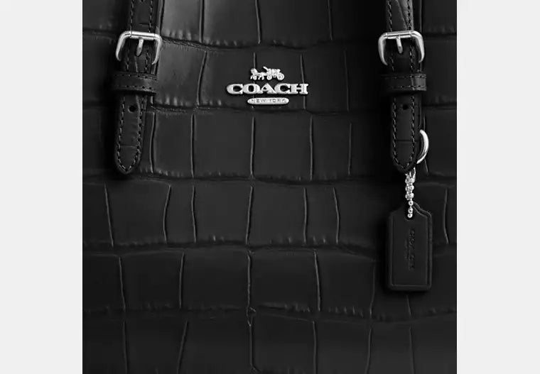 Coach Mollie Tote Bag