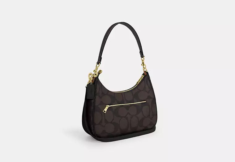 Coach Teri Hobo Bag In Blocked Signature Canvas