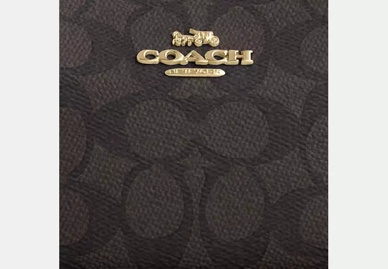 Coach Teri Mini Crossbody Bag In Signature Canvas