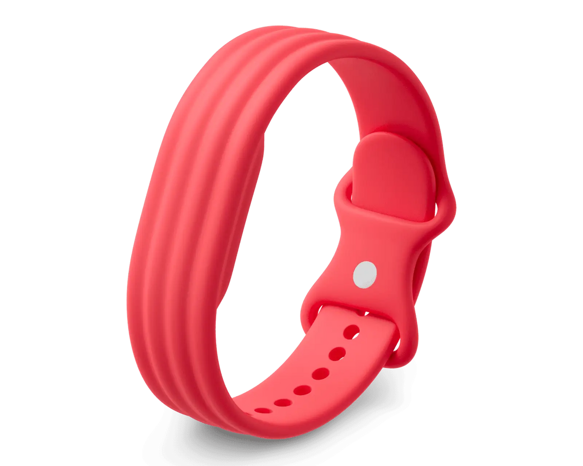 Google Fitbit Air Active Band Berry