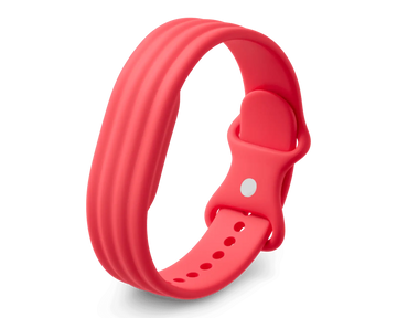 Google Fitbit Air Active Band Berry