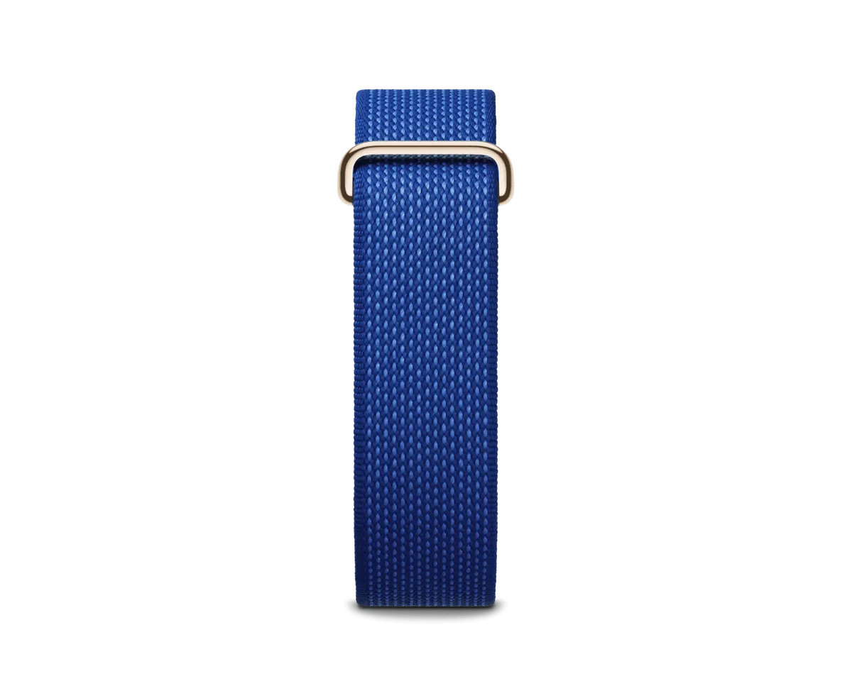 Google Fitbit Air Special Edition Pokemon Sleep Blue