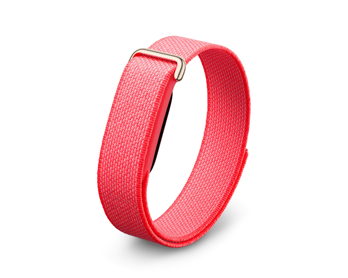 Google Fitbit Air Berry