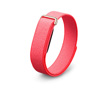 Google Fitbit Air Berry