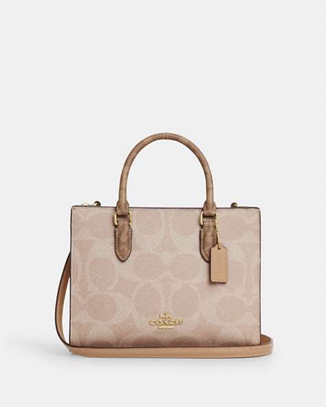 Maggie Small Tote Bag In Blocked Signature Canvas