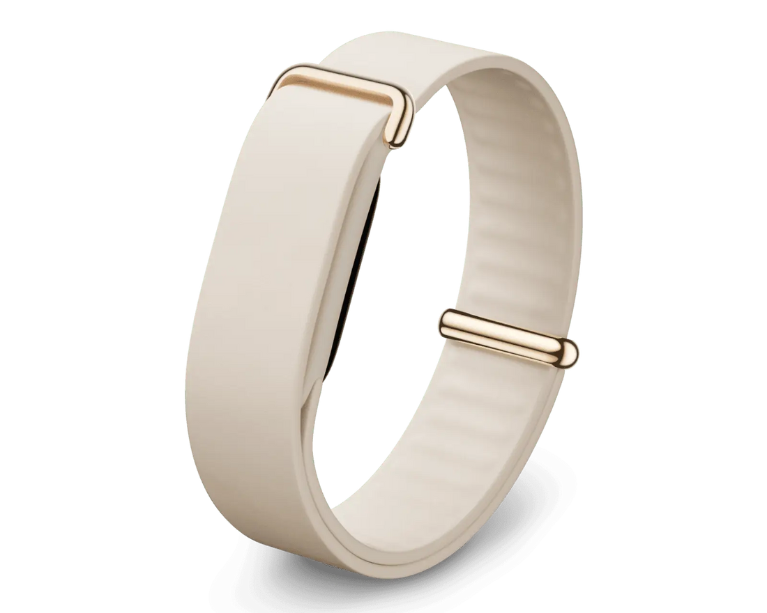 Google Fitbit Air Elevated Modern Band Porcelain