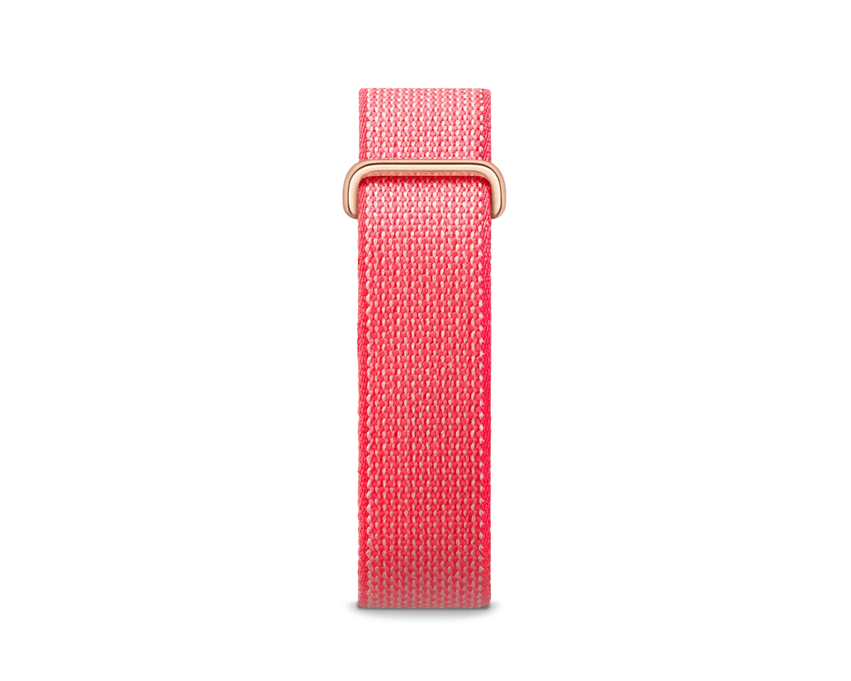 Google Fitbit Air Berry