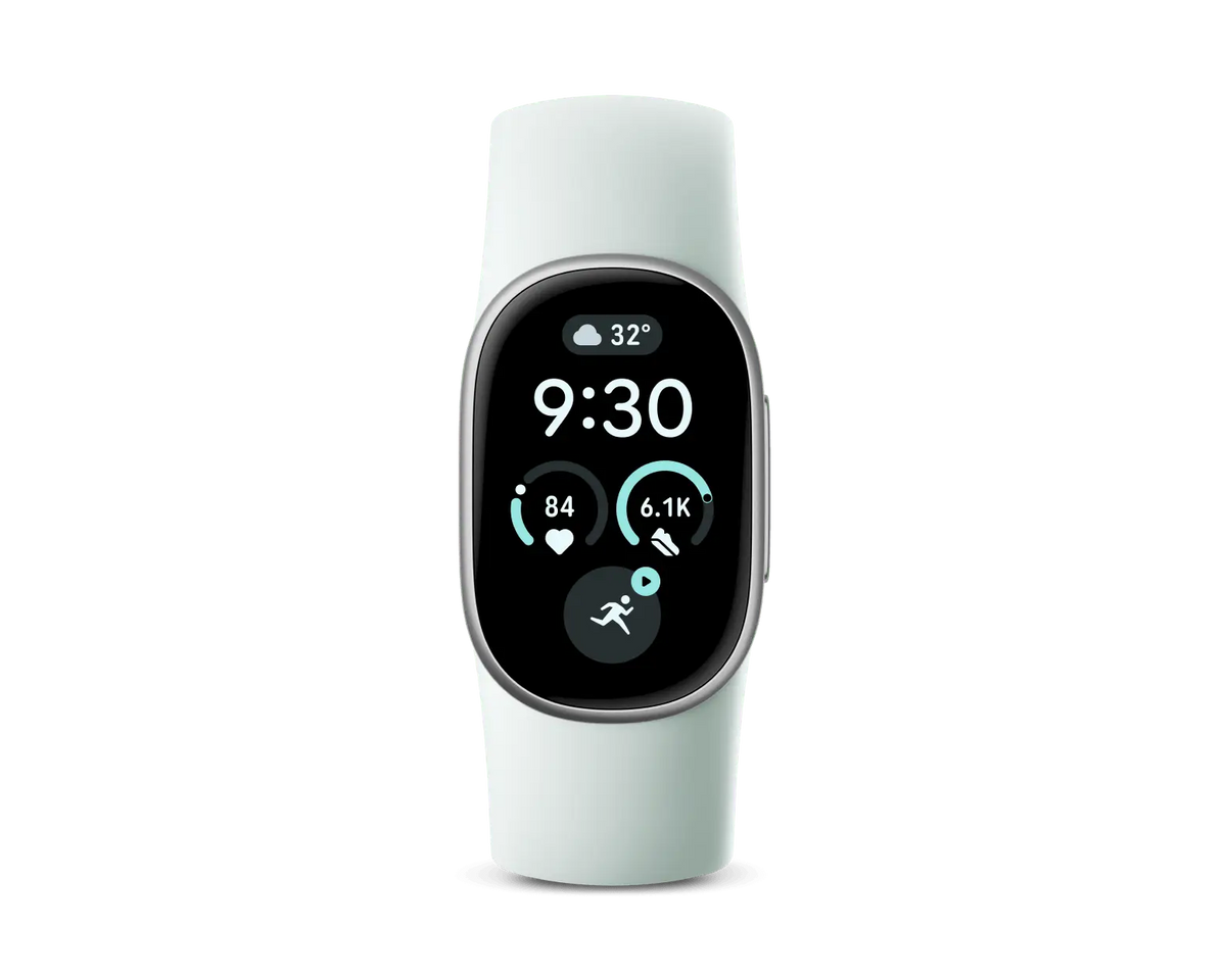 Google Fitbit Edge Satin Silver Fog