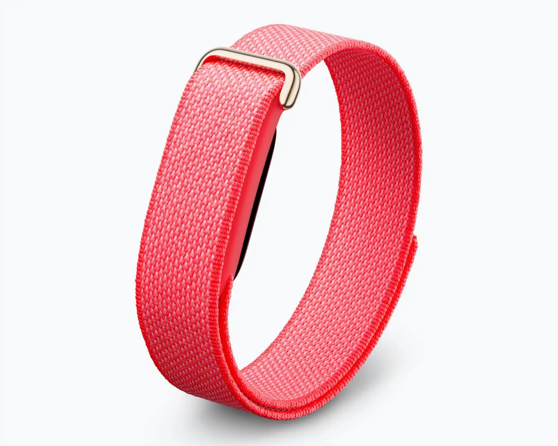 Google Fitbit Air Performance Loop Band Berry